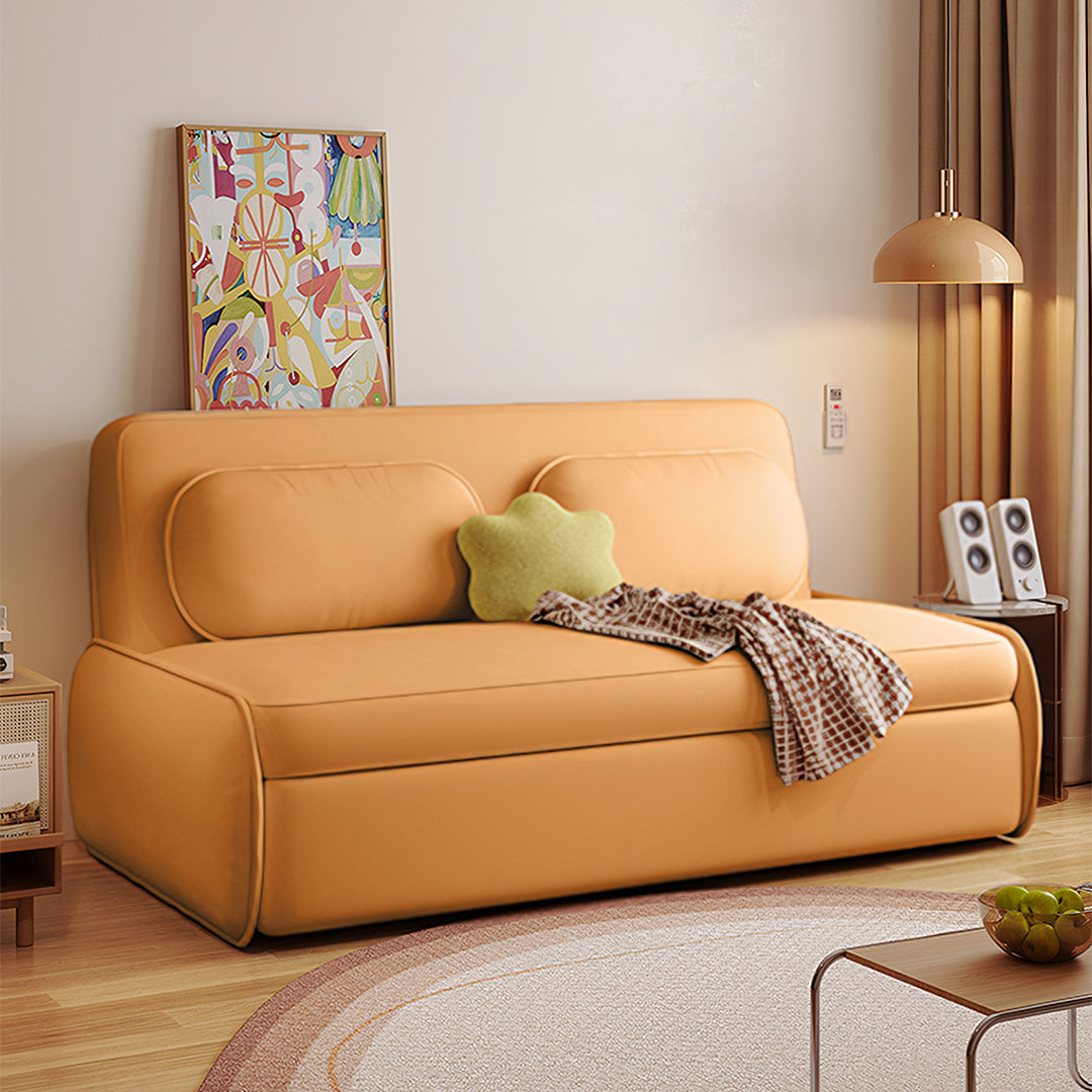 Ari Two Seater Sofa Bed, More Colours