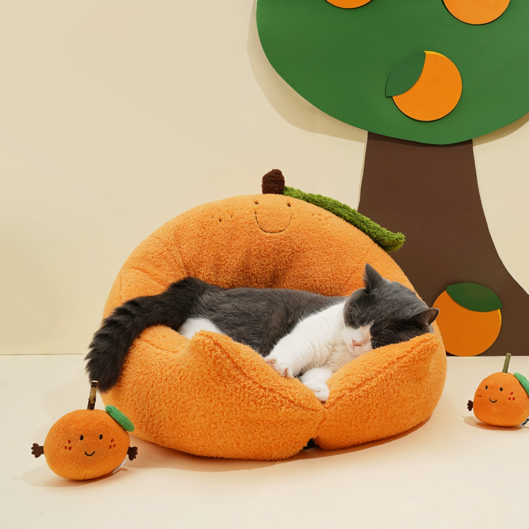 CATBED4FREE-Weilai-Weilai Concept