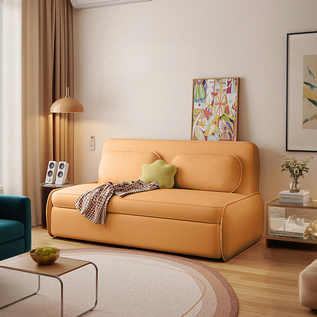 Ari Two Seater Sofa Bed, More Colours