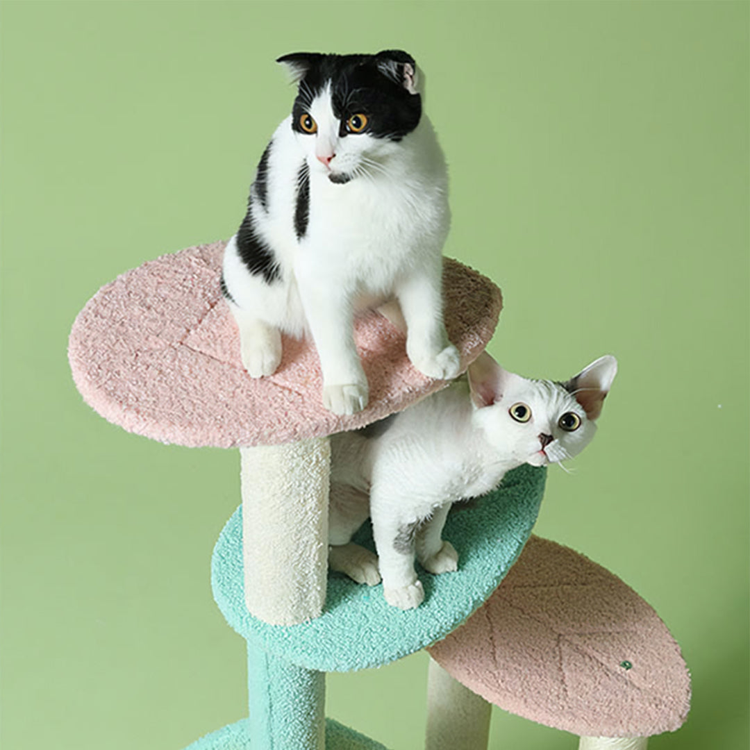 Davis Cat Climber, Cat Tree-Weilai Concept-Weilai Concept