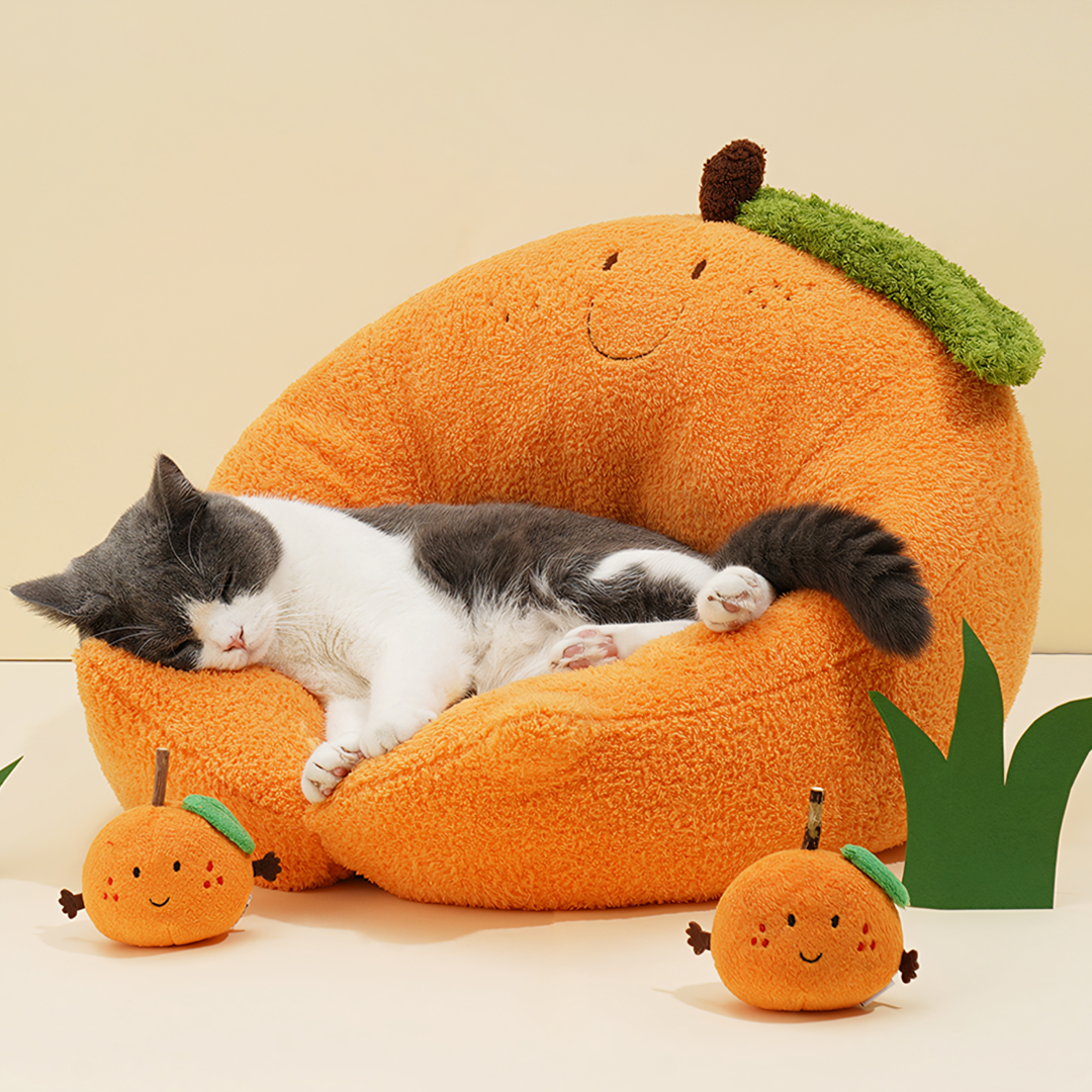 CATBED4FREE-Weilai-Weilai Concept