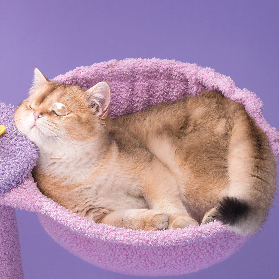 Díaz Cat Climber, Cat Tree, Coral Fleece, Purple-Weilai Concept-Weilai Concept