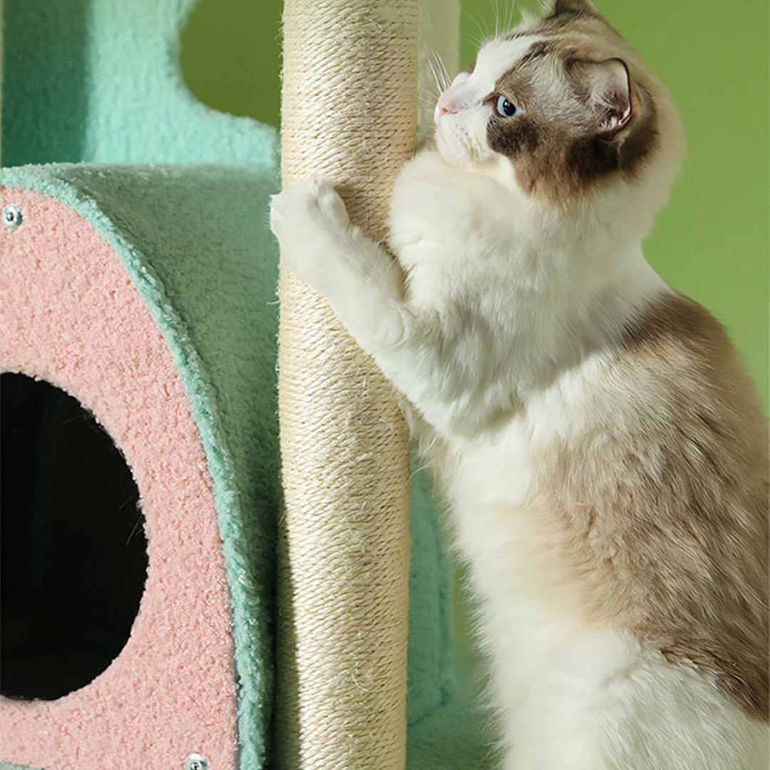 Davis Cat Climber, Cat Tree-Weilai Concept-Weilai Concept