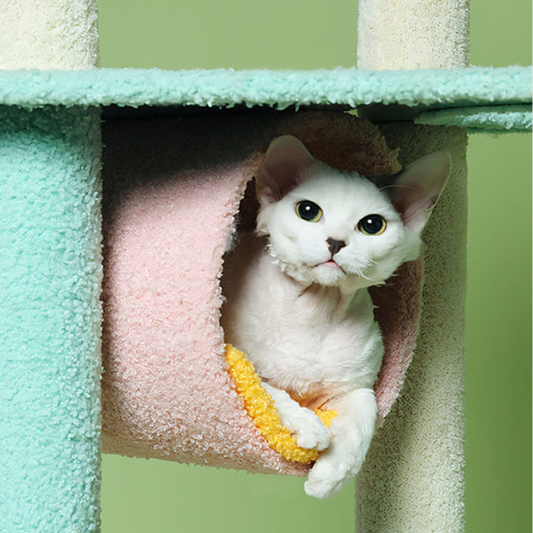 Davis Cat Climber, Cat Tree-Weilai Concept-Weilai Concept