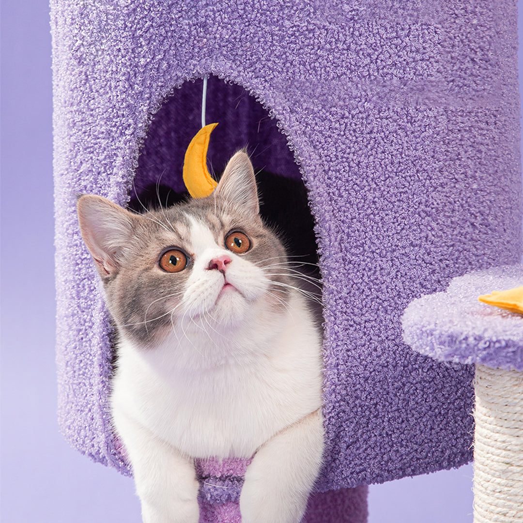 Díaz Cat Climber, Cat Tree, Coral Fleece, Purple-Weilai Concept-Weilai Concept